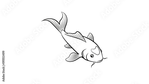 Elegant black and white illustration of a koi fish on a white background