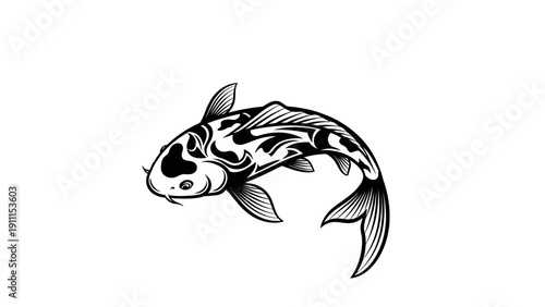 Elegant black and white koi fish illustration on isolated white background