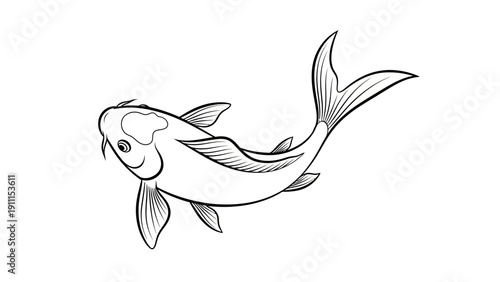 Elegant black and white koi fish illustration on plain white background