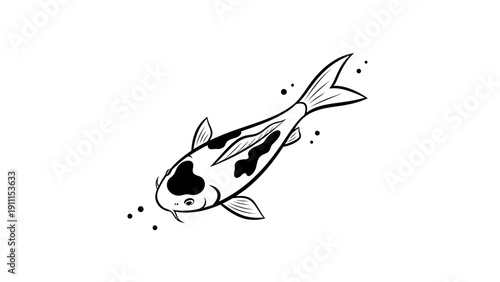 Elegant black and white koi fish illustration on white background