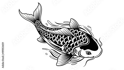 Elegant black and white koi fish illustration on white background