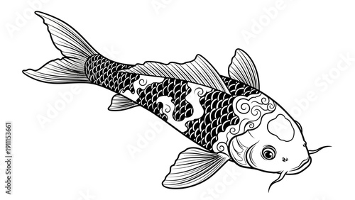 Elegant black and white koi fish illustration on white background