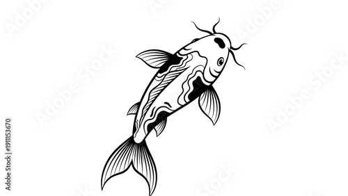 Elegant black and white koi fish illustration on white background