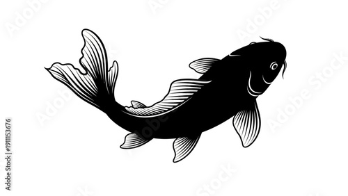 Elegant black and white koi fish illustration with lotus flowers