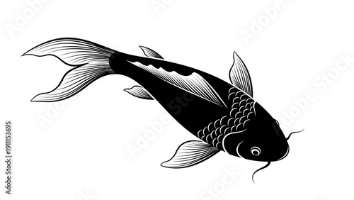 Elegant black koi fish illustration on white background vector art
