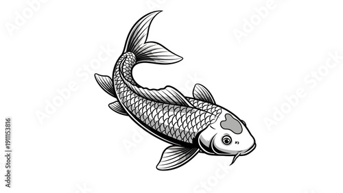 Elegant illustration of a koi fish on white background vector design