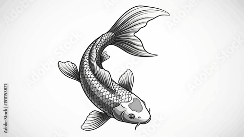Elegant illustration of a koi fish swimming against white background