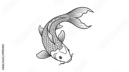 Elegant koi carp illustration isolated on white background in grayscale