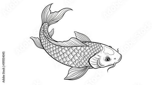 Elegant koi fish illustration in black and white against a clean background