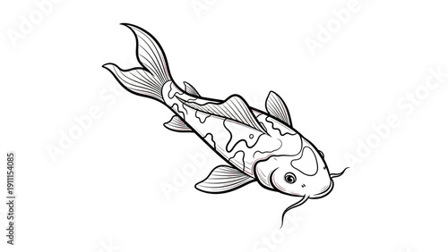 Elegant koi fish illustration on white background design element for art