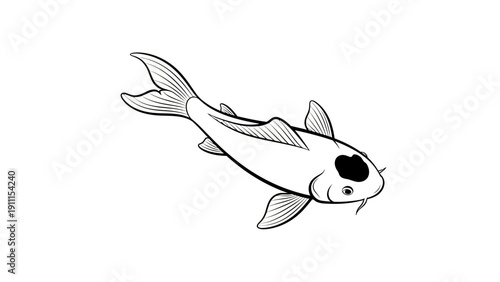 Elegant vector illustration of a koi fish on a clean white background