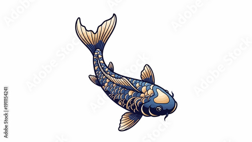 Elegant vector illustration of a koi fish isolated on white background