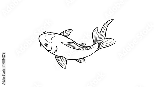 Elegant vector illustration of a koi fish on a white background