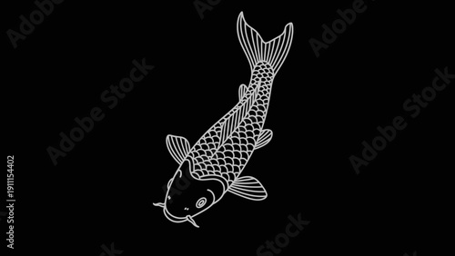 Elegant white outline of koi carp fish on black background vector design