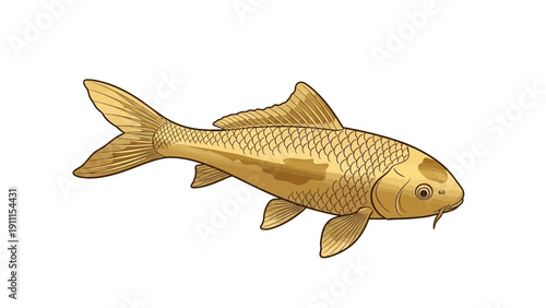 Golden koi fish illustration on white background vector art