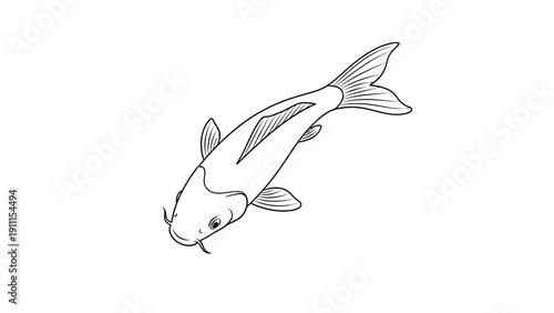 Ink drawing of a single koi fish isolated on white background