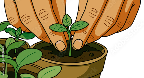 Hands Gently Planting a Young Seedling Into Rich Soil, Surrounded by Vibrant Green Plants in a Nurturing Garden. Transparent Background