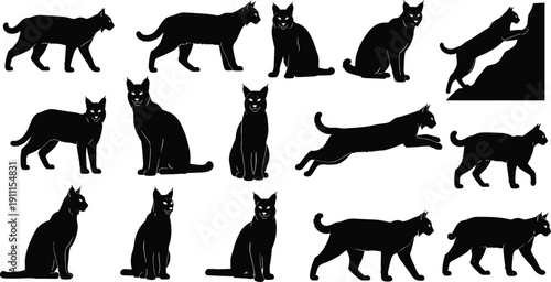 Black panther silhouette collection, wild cat predator poses, feline wildlife vector set for tattoo, logo, illustration design