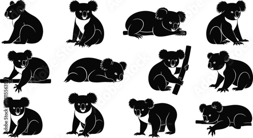 Koala bear silhouettes collection, cute Australian wildlife animal illustration set, eucalyptus tree habitat isolated on white background