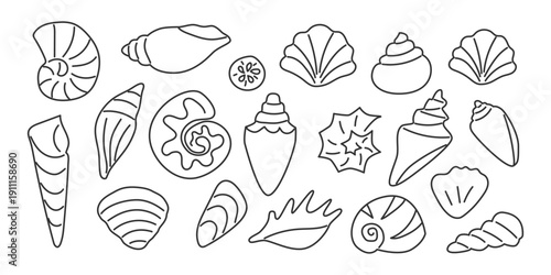 Vector set of hand drawn seashells in clean outline style. Black doodle line art shell icon on white background. Ideal for coloring pages, beach decor, packaging, educational design, summer design
