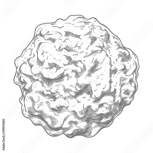 A detailed monochrome illustration of a textured round object