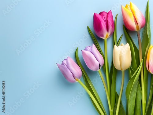 Colorful tulips in shades of pink, purple, and yellow arranged on a light blue background, showcasing their vibrant petals and green leaves