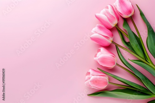 Pink tulips arranged elegantly on a soft pink background, showcasing their delicate petals and vibrant green leaves, perfect for floral design or spring-themed projects