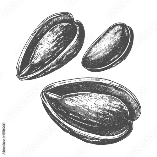 Illustration featuring three sunflower seeds on a white background