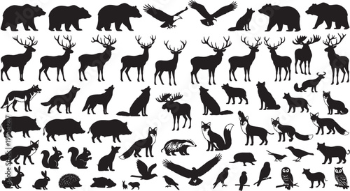 Black silhouettes of various wild animals on white background animal silhouettes black animals wildlife bears