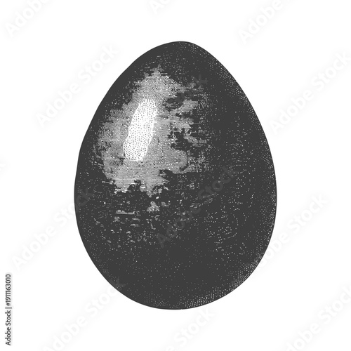 A detailed grayscale drawing depicting an isolated egg shape