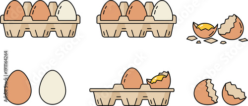 Egg carton and cracked egg flat vector illustration set with whole eggs, broken eggshells and yolk isolated on white