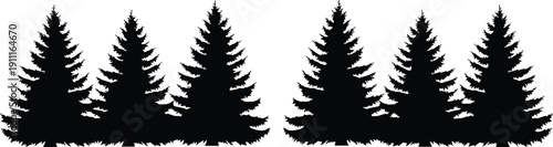 Black silhouette of pine trees on white background tree silhouettes black and white evergreen trees forest