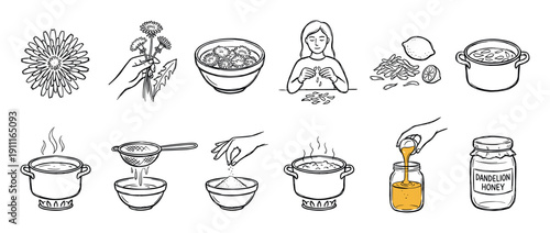 Hand-drawn doodle style illustrations showing a step-by-step recipe for making homemade dandelion honey, a culinary guide for a natural, plant-based, and vegan sweet syrup