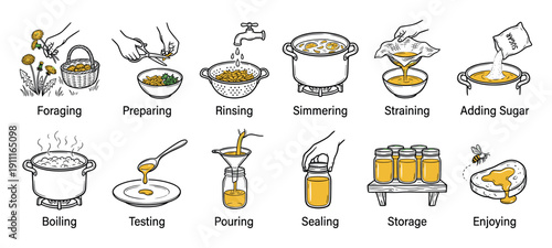 Step-by-step instructional illustration set showing how to make homemade dandelion honey from foraging flowers to jarring the final sweet syrup in a hand-drawn line art style