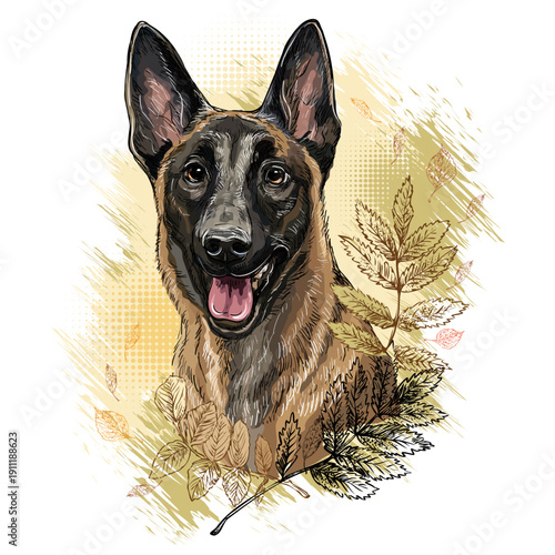 Belgian shepherd dog in flowers hand drawn vector illustration