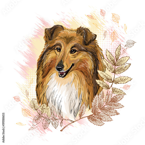 Collie dog in flowers hand drawn vector illustration