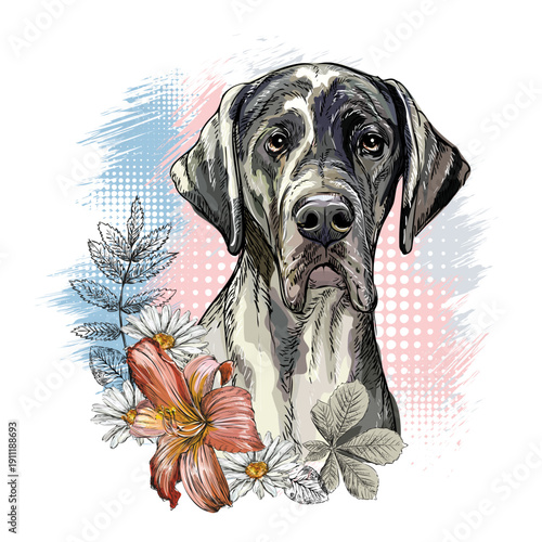 Great Dane Dog with flowers hand drawing vector illustration