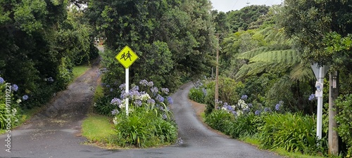 a road with a sign on it and some trees