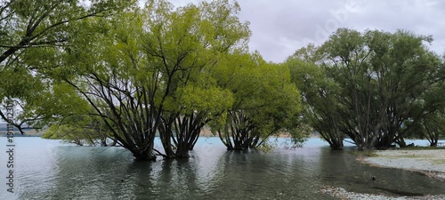 a body of water with trees in the background