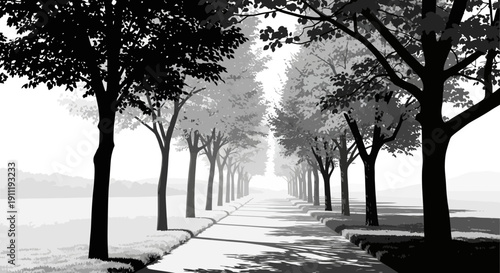 Dramatic black and white avenue with silhouetted trees leading into the distance, a serene and tranquil natural landscape.