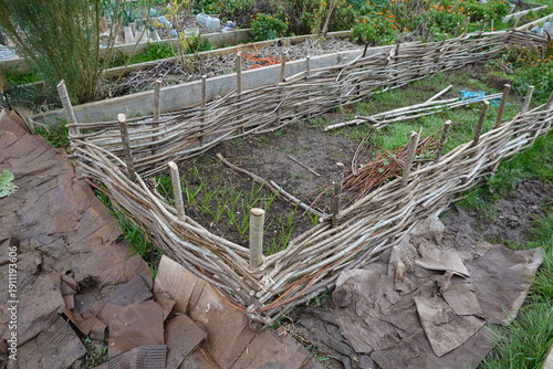 Raised garden bed with wattle fence weaving for permaculture