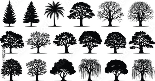 Tree silhouette set, coniferous, palm, deciduous, umbrella canopy, weeping form, foliage variety - flat vector illustration