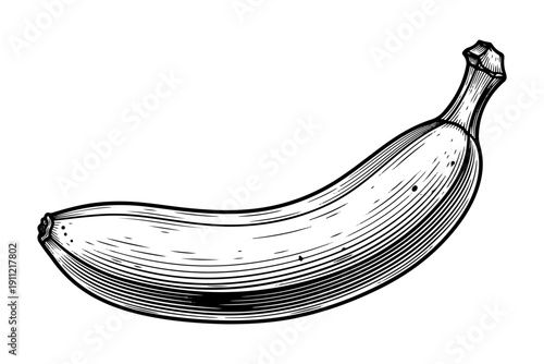 Vintage banana fruit engraving, retro tropical food and healthy snack sketch in woodcut style isolated