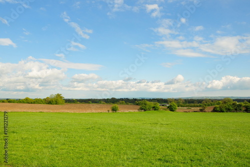 Landscape view of a green grass flied and blue sky with white fluffy clouds