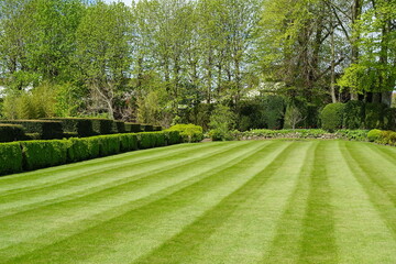 Keuken achterwand Tuin Engelse landschapstuin met gestreept gazon  © 1000 Words