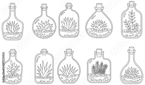 Minimal terrarium bottle illustration, black and white glass jars with succulents, hand drawn botanical line art, indoor garden vector set