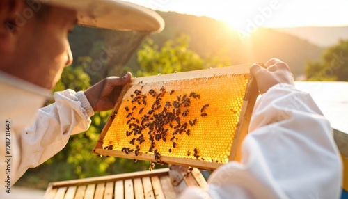 Beekeeper Inspecting Honeycomb with Bees and Golden Honey at Sunset