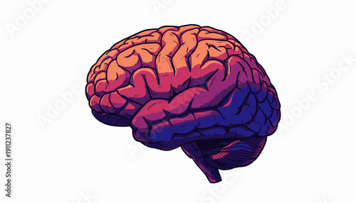Colorful illustration of a human brain with vibrant gradient.