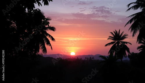 Serene jungle sunset radiant sky