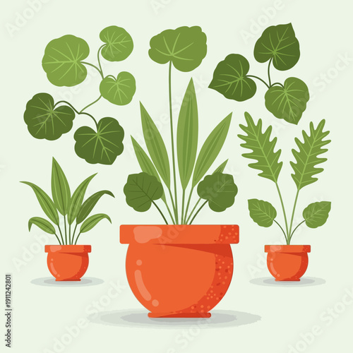 Potted plants arranged together in vibrant orange pots showcasing various green leaves and foliage from different angles